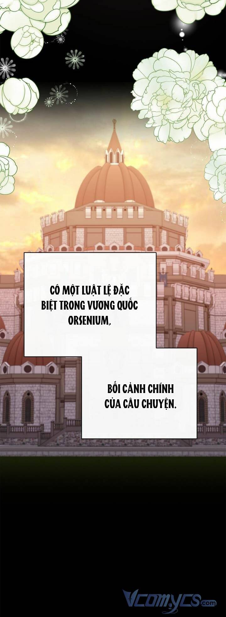 Khi Con Gái Của Phù Thuỷ Phá Giải Lời Nguyền Của Nam Chính Chương 9 Ảnh 46