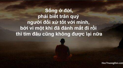 Thất Sách Chuyển Sinh Chương 19 Ảnh 3