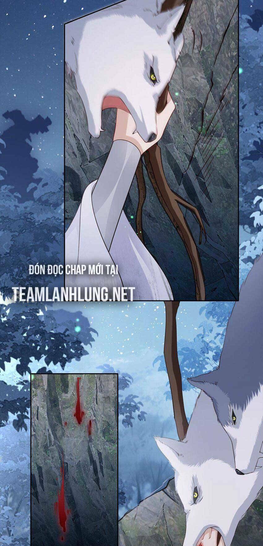 Tôi Là Đệ Nhất Hắc Nguyệt Quang Của Tu Chân Giới Chương 31 Ảnh 16