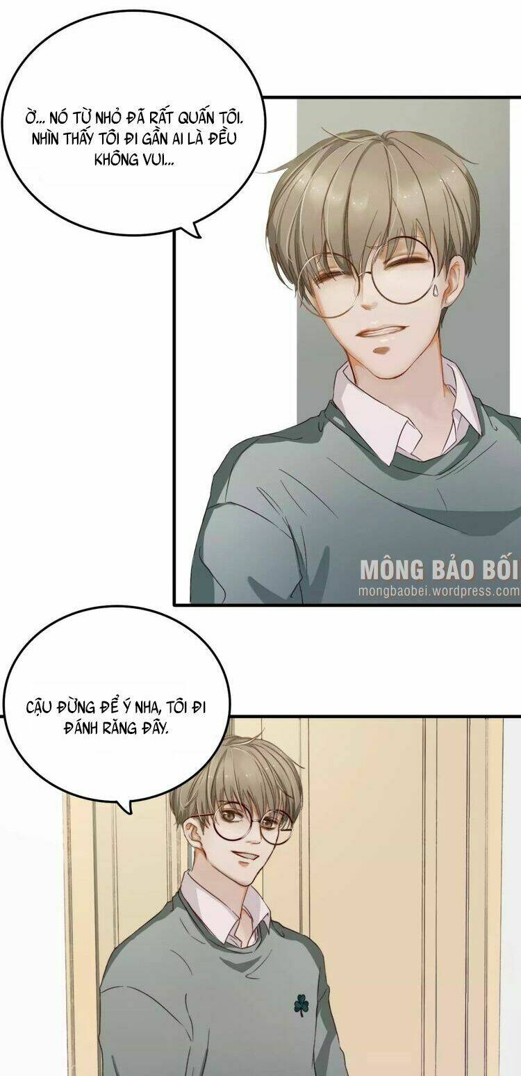 Song Trình Chương 10 Ảnh 5