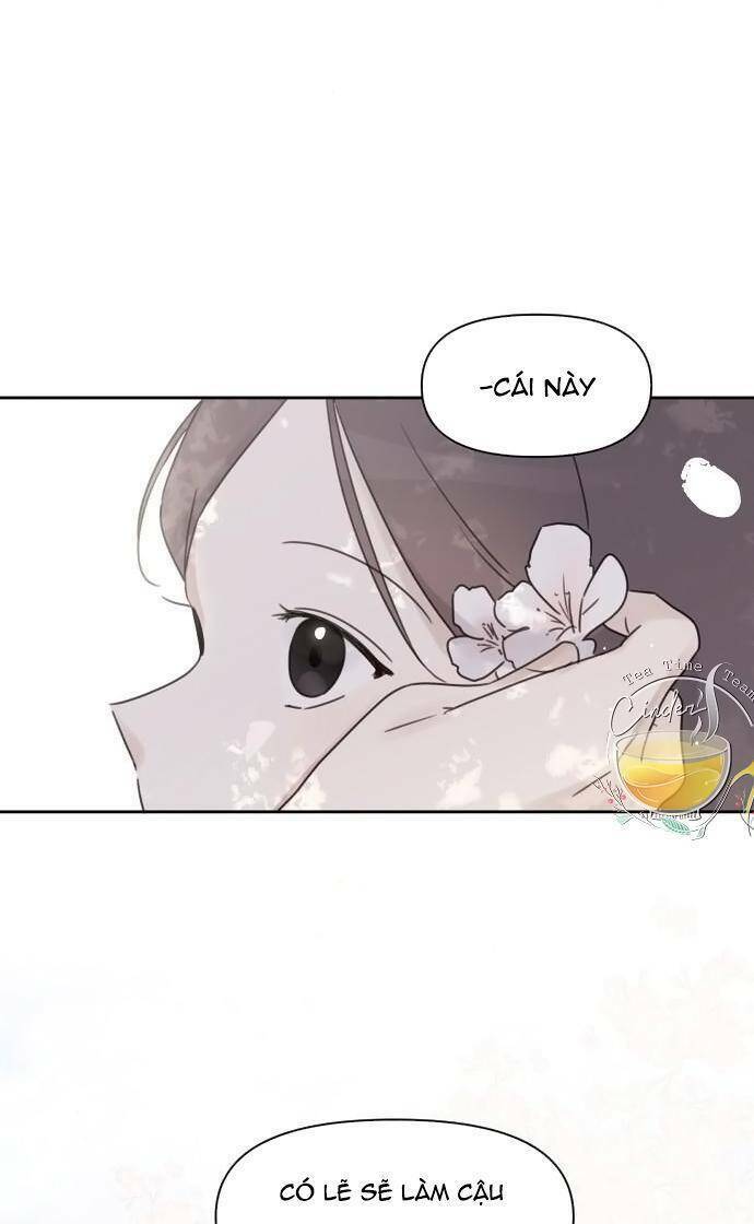 Ngắm Nhìn Điều Tuyệt Vời Nhất Chương 32 Ảnh 46