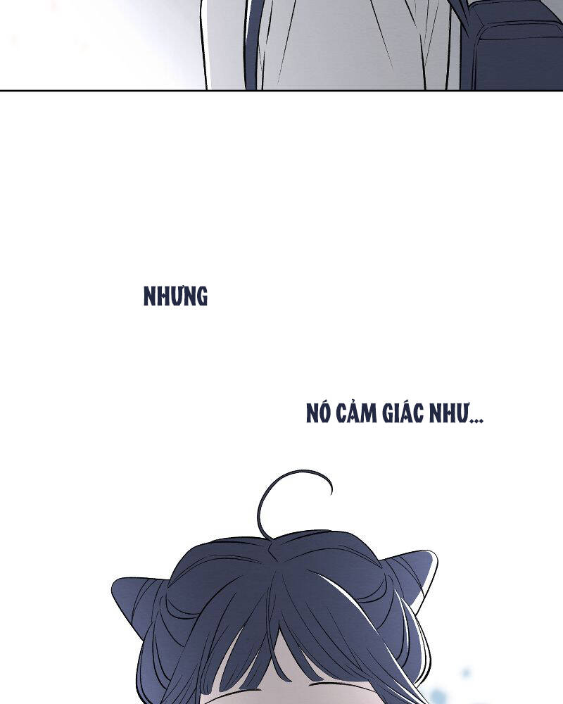 Nice To Meet You Chương 70 Ảnh 73