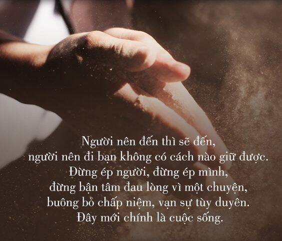 Thất Sách Chuyển Sinh Chương 19 Ảnh 2