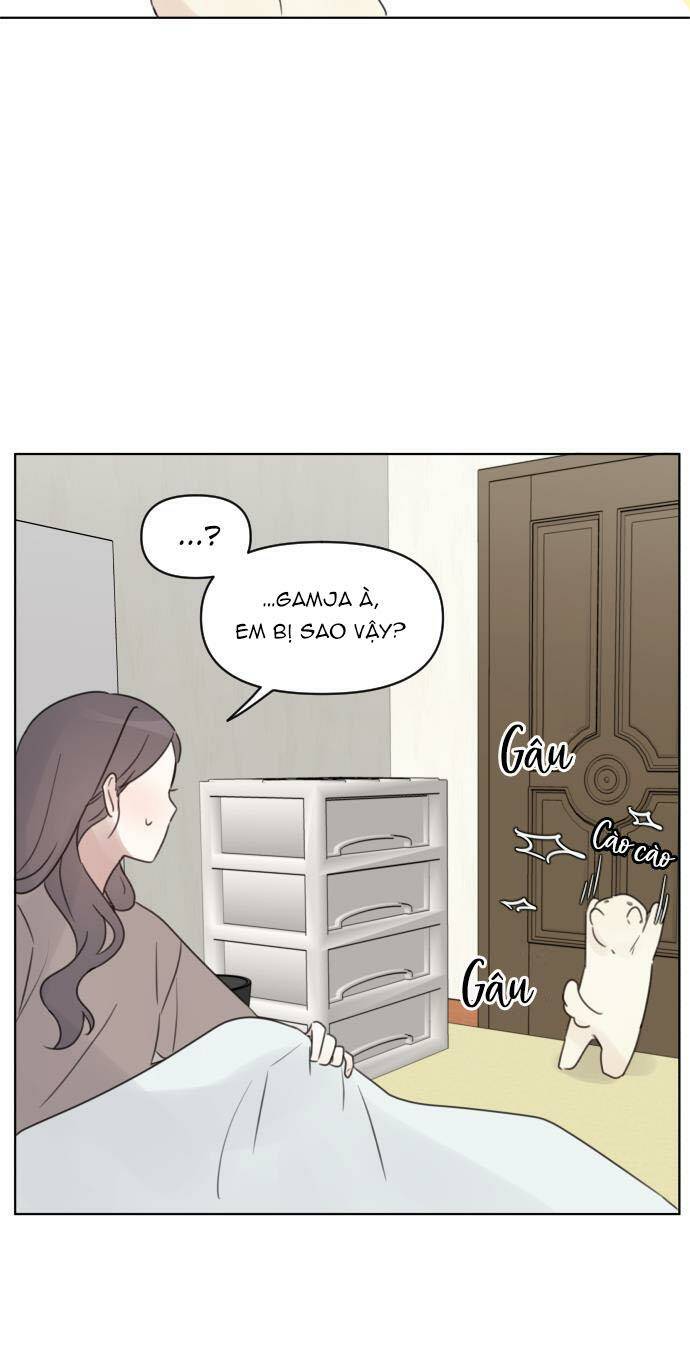 Ngắm Nhìn Điều Tuyệt Vời Nhất Chương 29 Ảnh 40