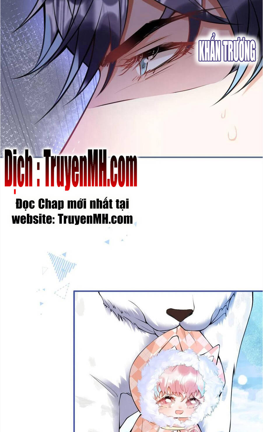 Ta Có Năm Đại Lão Ba Ba Chương 294 Ảnh 13
