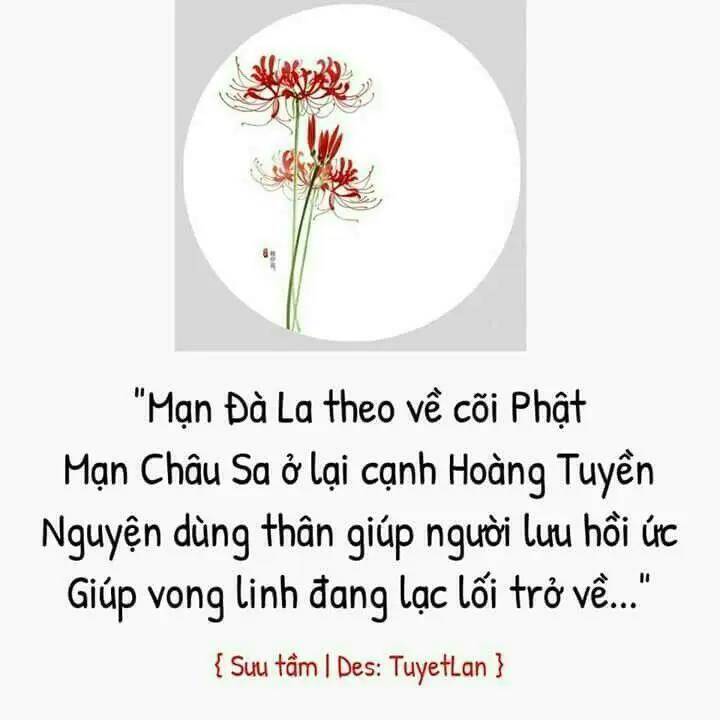 Thất Sách Chuyển Sinh Chương 19 Ảnh 28