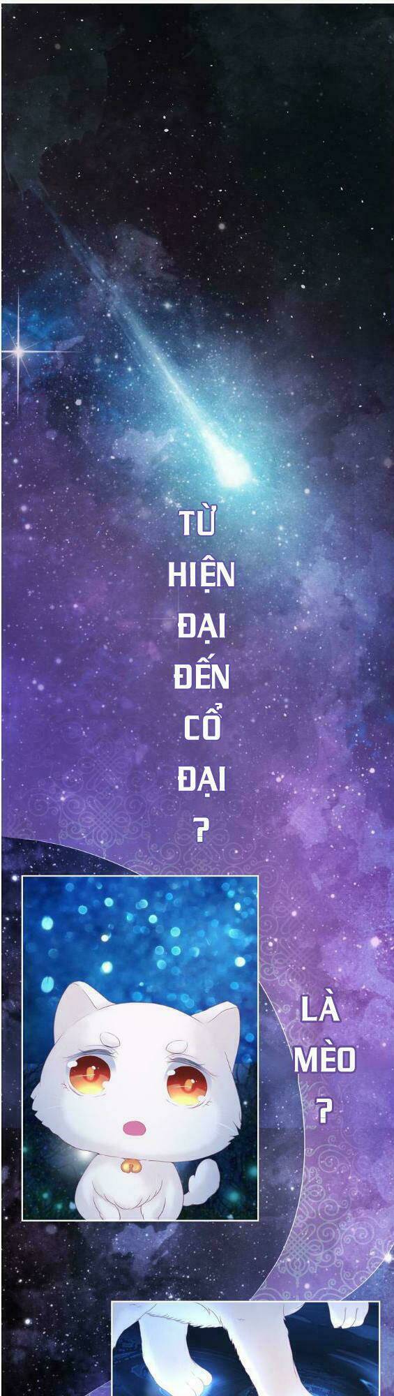 Báo Cáo Vương Gia, Vương Phi Là Một Con Mèo Chương 1 Ảnh 3