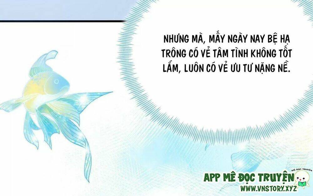 Lại Bị Bệnh Chiều Chuộng Quấn Lấy Chương 79 Ảnh 22