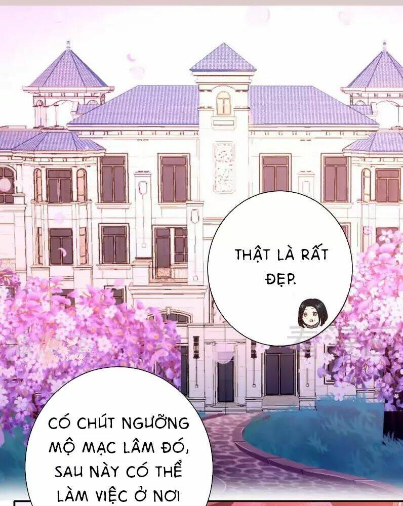 Phục Thù Thiếu Gia Tiểu Điềm Thê Chương 85 Ảnh 15