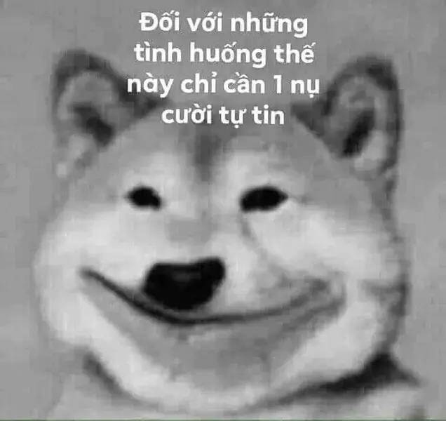 Thất Sách Chuyển Sinh Chương 15.1 Ảnh 22