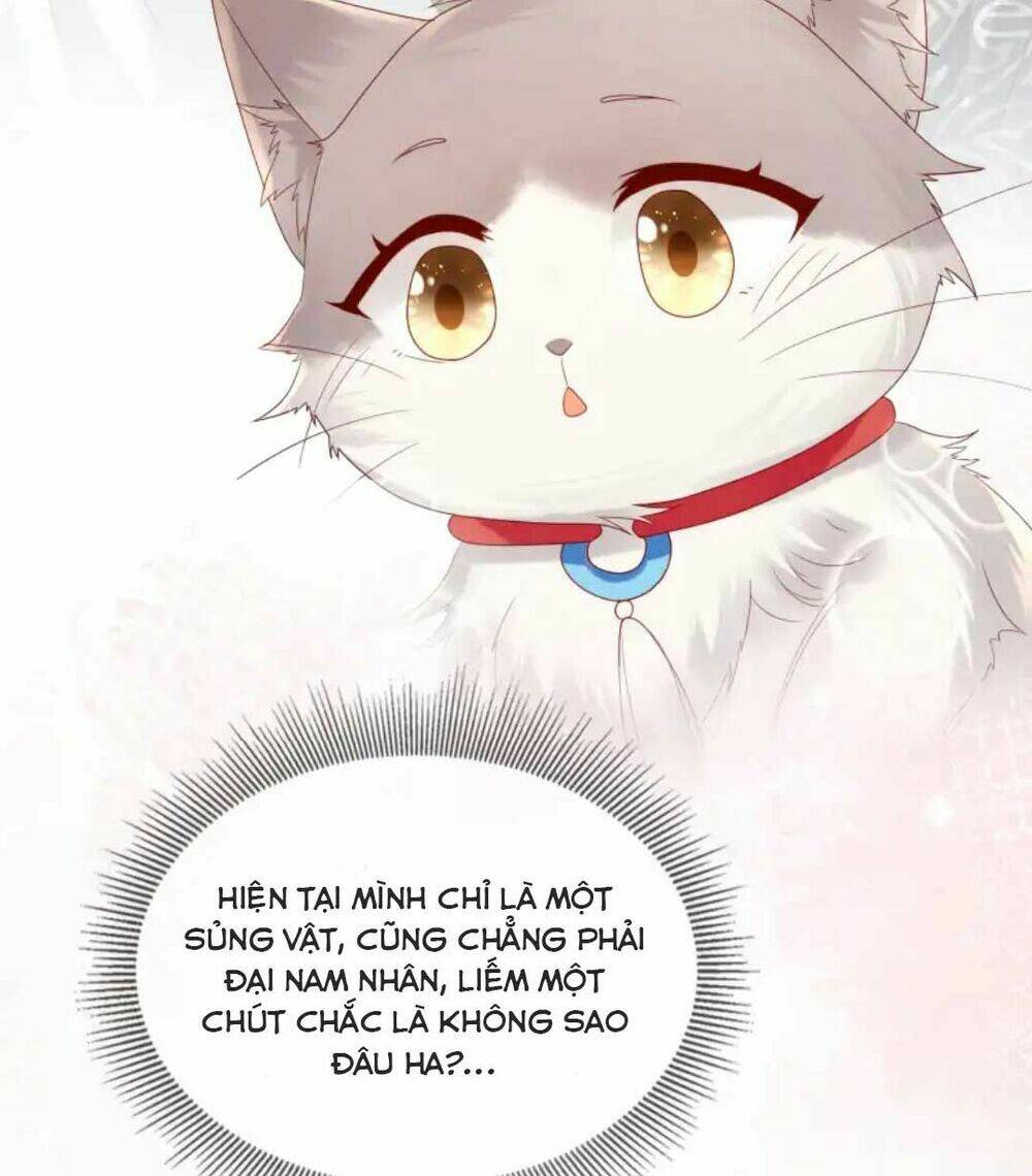 Các Đệ Tử Ai Cũng Nói Yêu Ta Chương 12 Ảnh 25