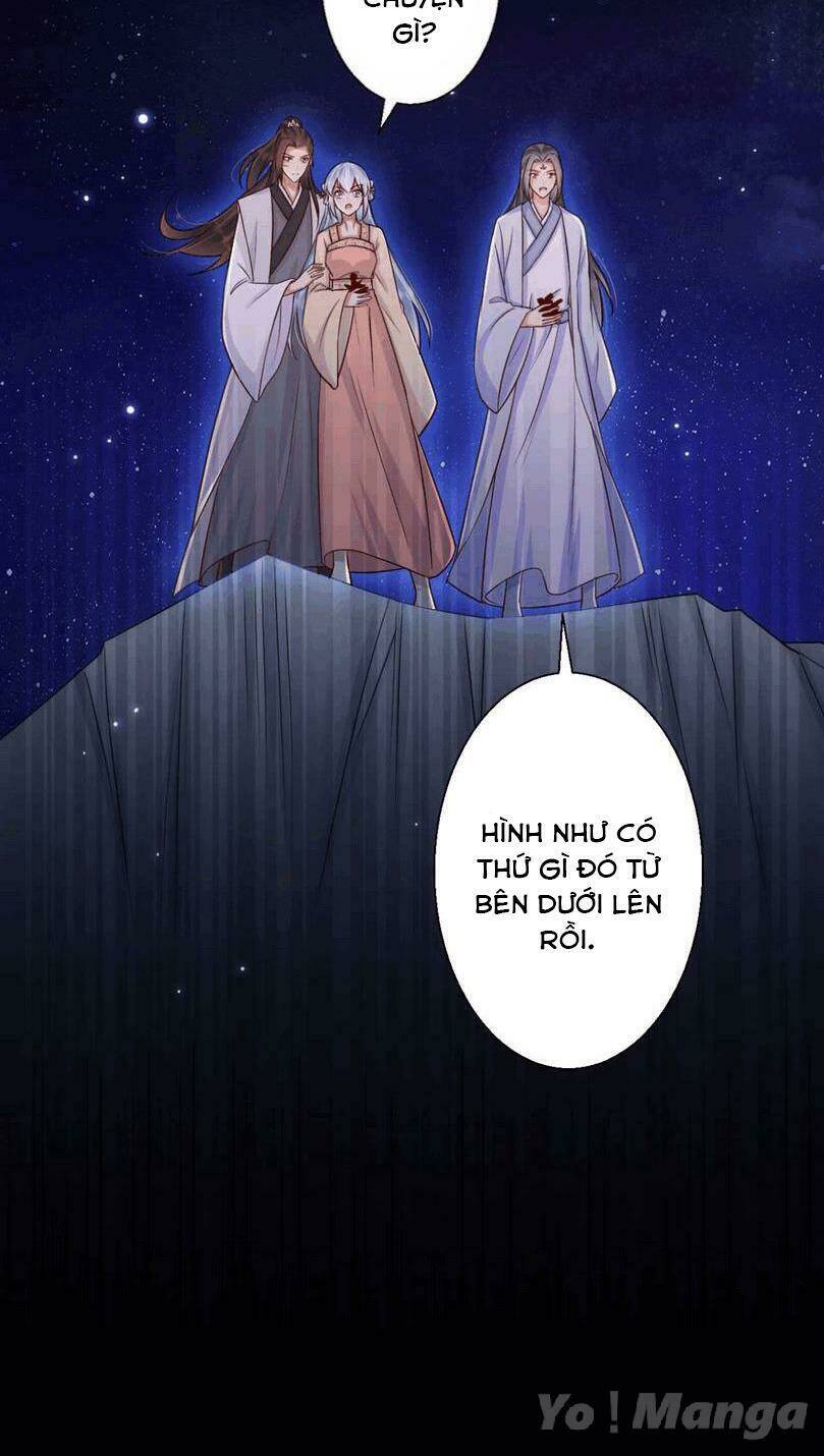 Độc Y Cuồng Phi Chương 72 Ảnh 14