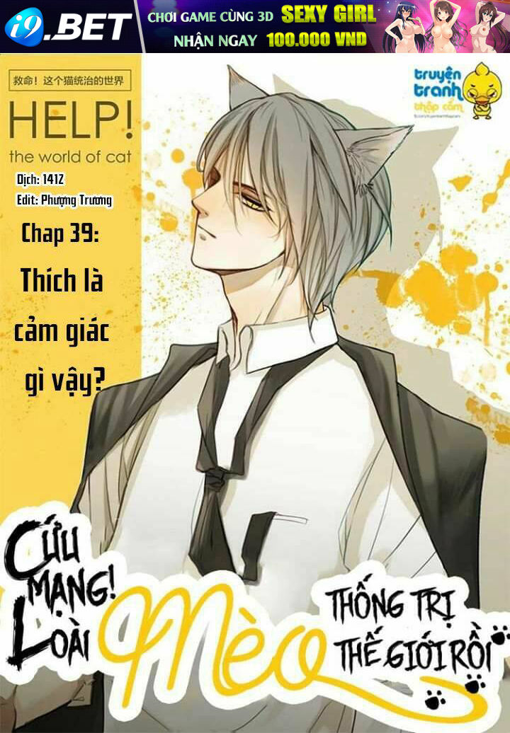 Cứu Mạng ! Loài Mèo Thống Trị Thế Giới Rồi ! Chương 39 Ảnh 2
