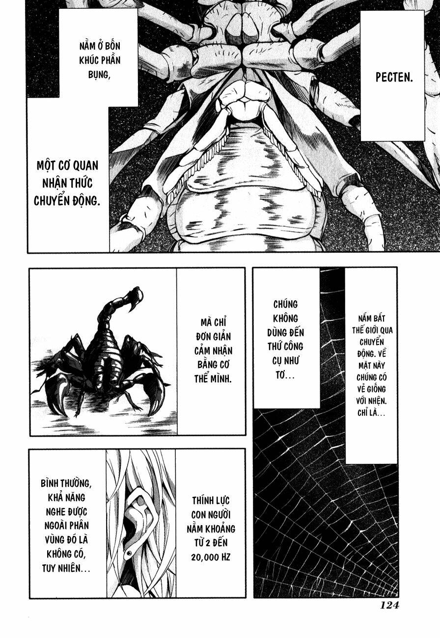 Arachnid Chương 29 Ảnh 17