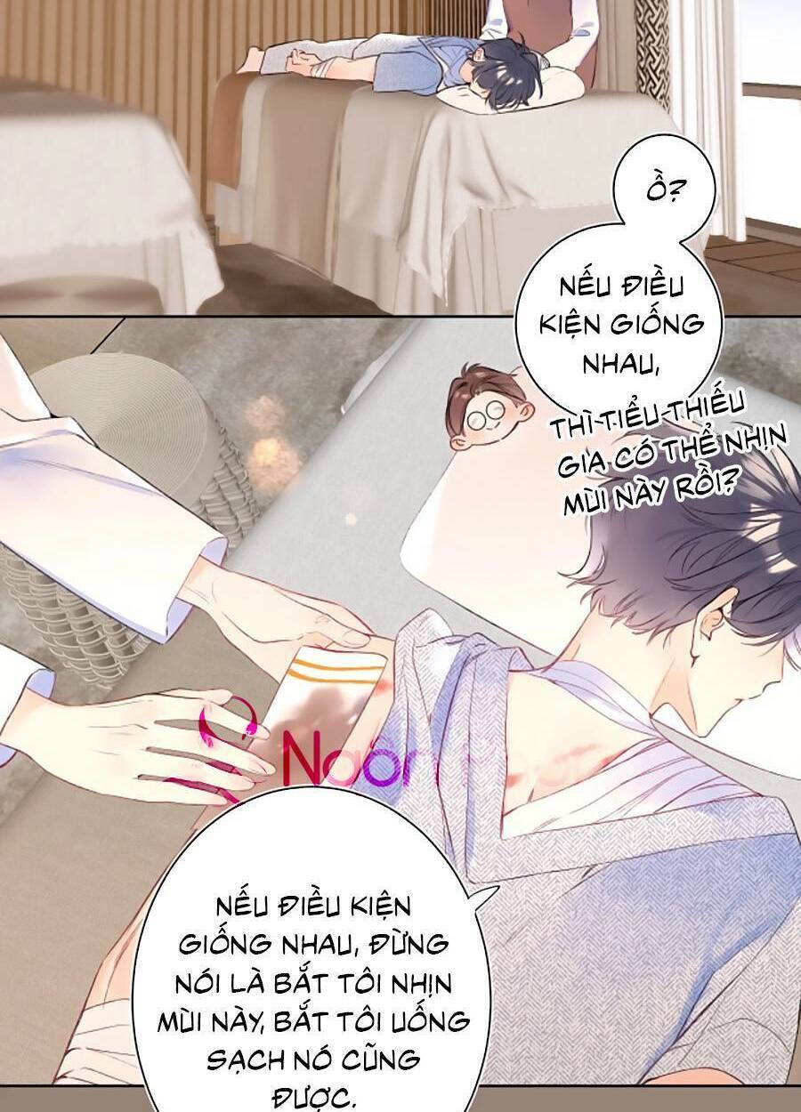 Đừng Khóc Chương 102 Ảnh 5