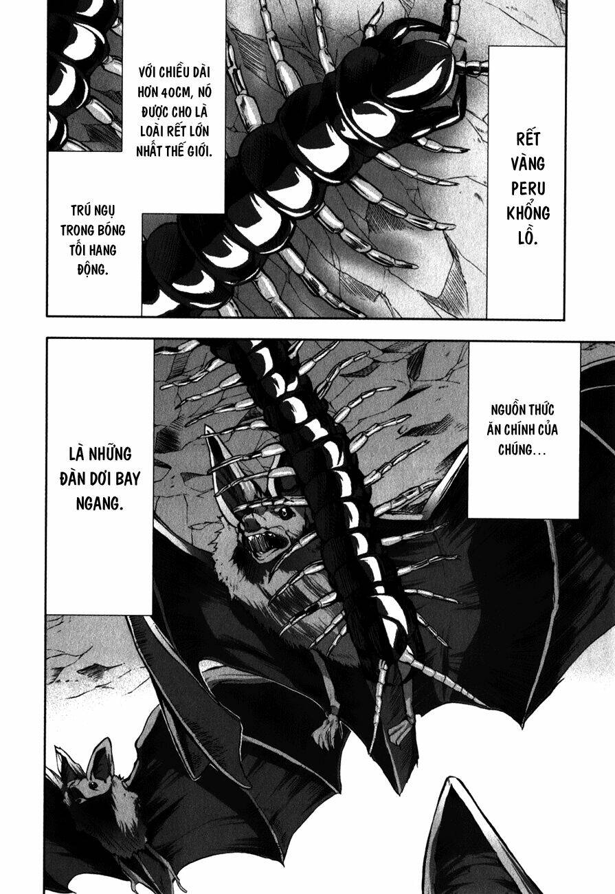 Arachnid Chương 29 Ảnh 9