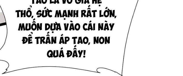 Toàn Thuộc Tính Võ Đạo Chương 48 Ảnh 240