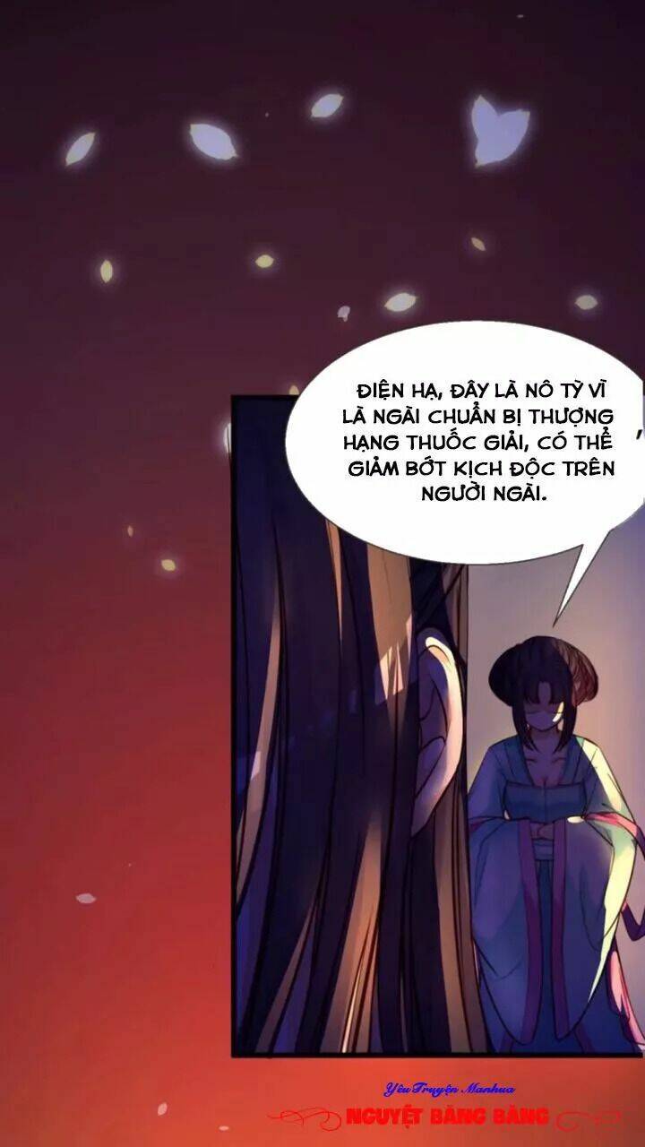 Đế Vương Sợ Vương Phi Muốn Sở Hữu Thiên Hạ Chương 1 Ảnh 7