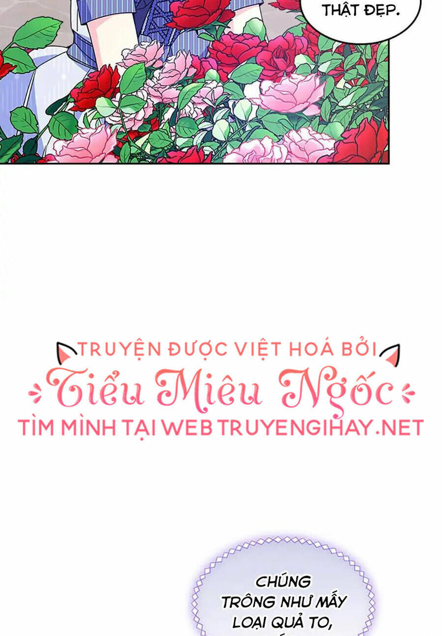 Anh Trai Tôi Quá Hiền Lành Làm Tôi Lo Lắng Ghê Chương 60 Ảnh 65
