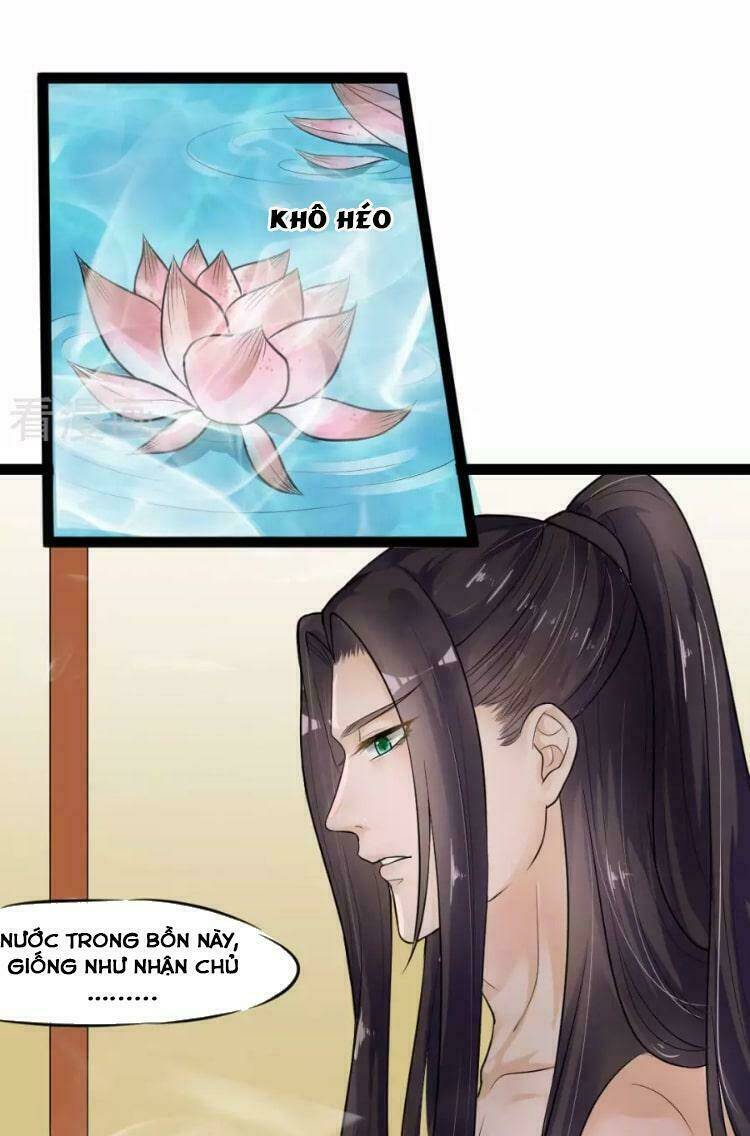 Đế Vương Sợ Vương Phi Muốn Sở Hữu Thiên Hạ Chương 5 Ảnh 11