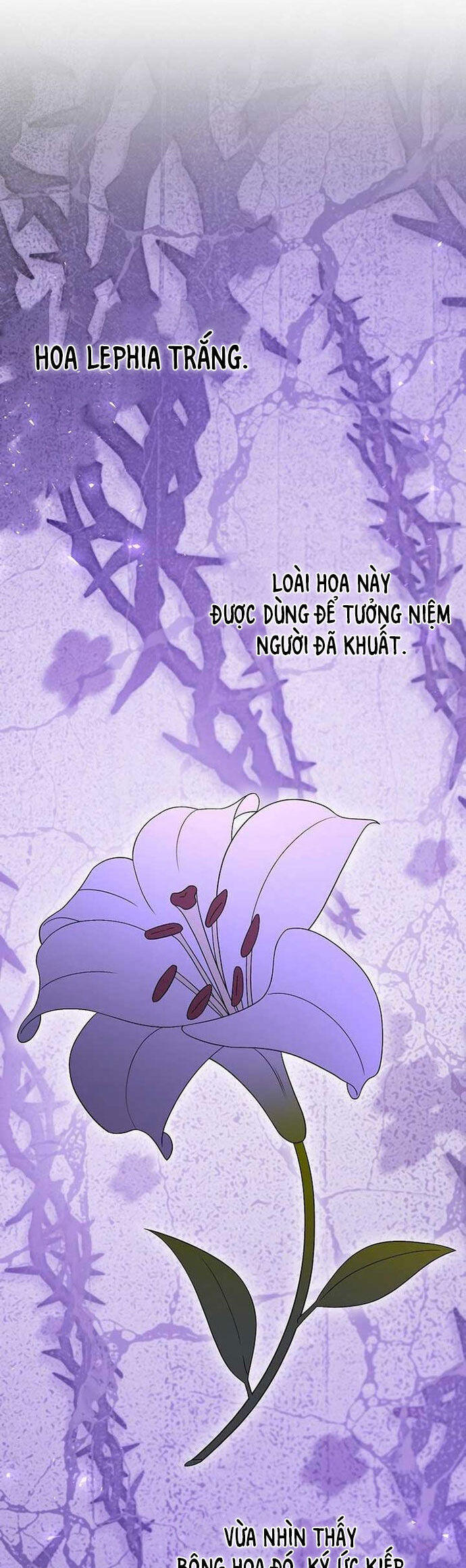 Ác Nữ Che Giấu Sự Giàu Có Của Mình Chương 18 Ảnh 15