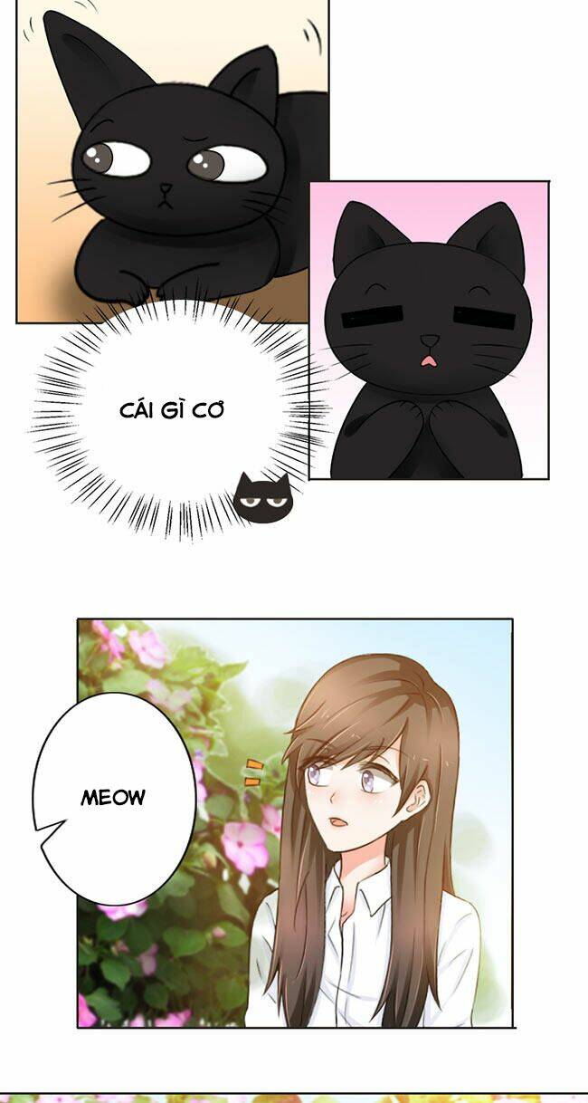 Tổng Tài Ma Cà Rồng Tha Cho Tôi Chương 23 Ảnh 9