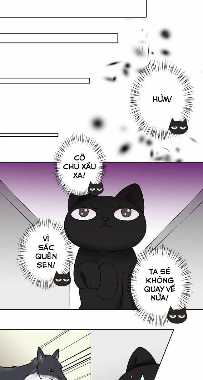 Tổng Tài Ma Cà Rồng Tha Cho Tôi Chương 23 Ảnh 3