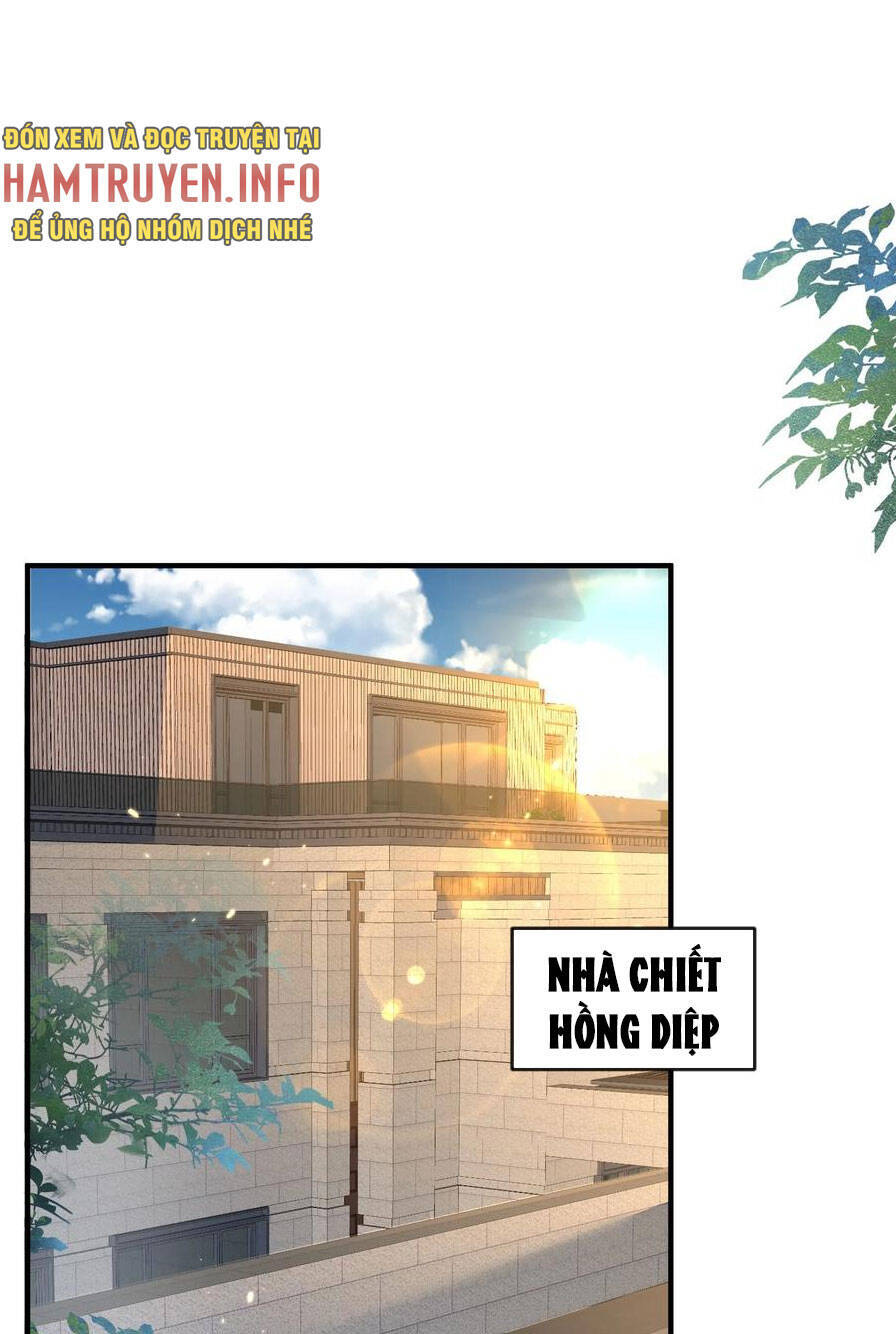 Ta Vô Địch Lúc Nào Chương 174 Ảnh 15