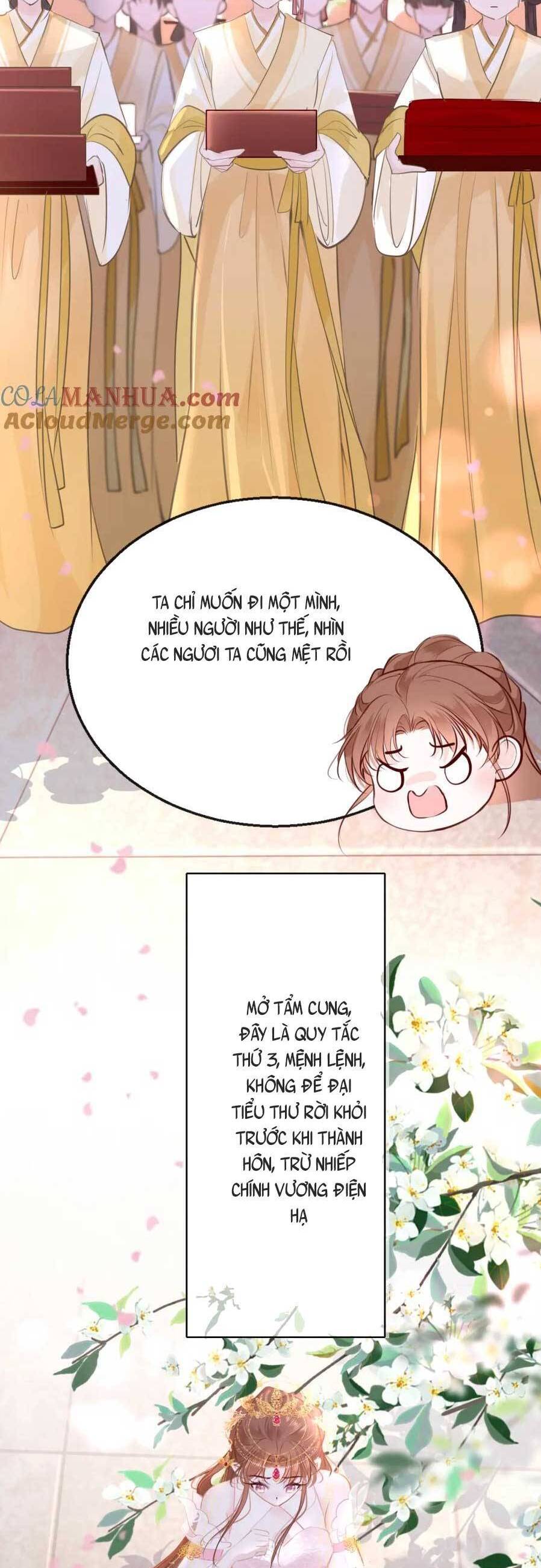 Bắt Đầu Hủy Hôn Để Công Lược Vương Gia Chương 101 Ảnh 26