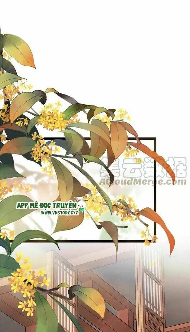 Kiều Nữ Độc Phi Chương 243 Ảnh 29