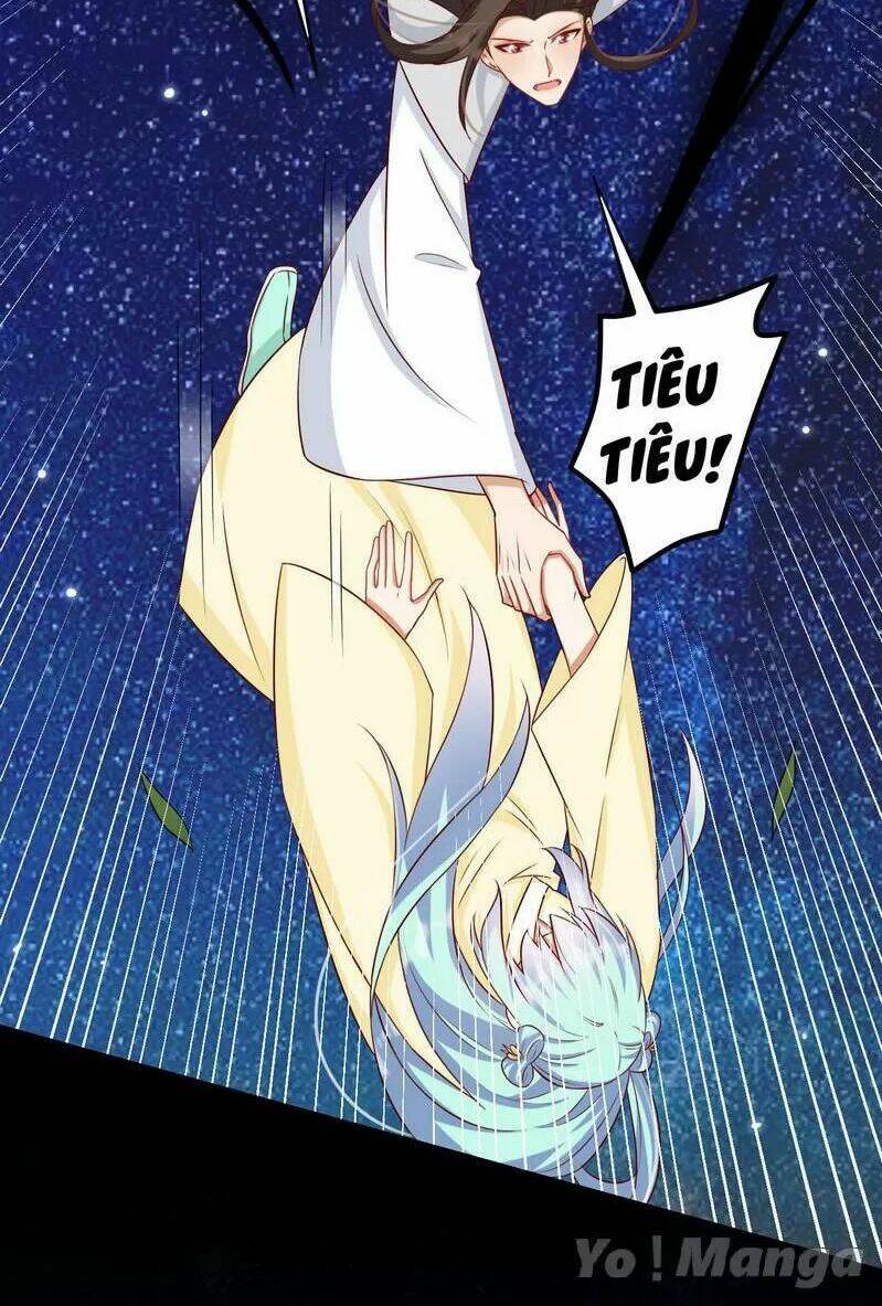Độc Y Cuồng Phi Chương 57 Ảnh 4
