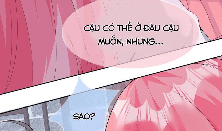 Các Cô Gái Tai Thú Đều Muốn Độc Chiếm Tôi Chương 26 Ảnh 59