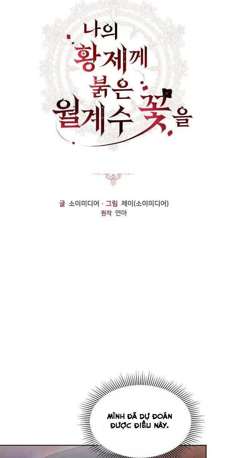 Hoa Nguyệt Quế Đỏ Tặng Hoàng Đế Của Tôi Chương 16 Ảnh 6