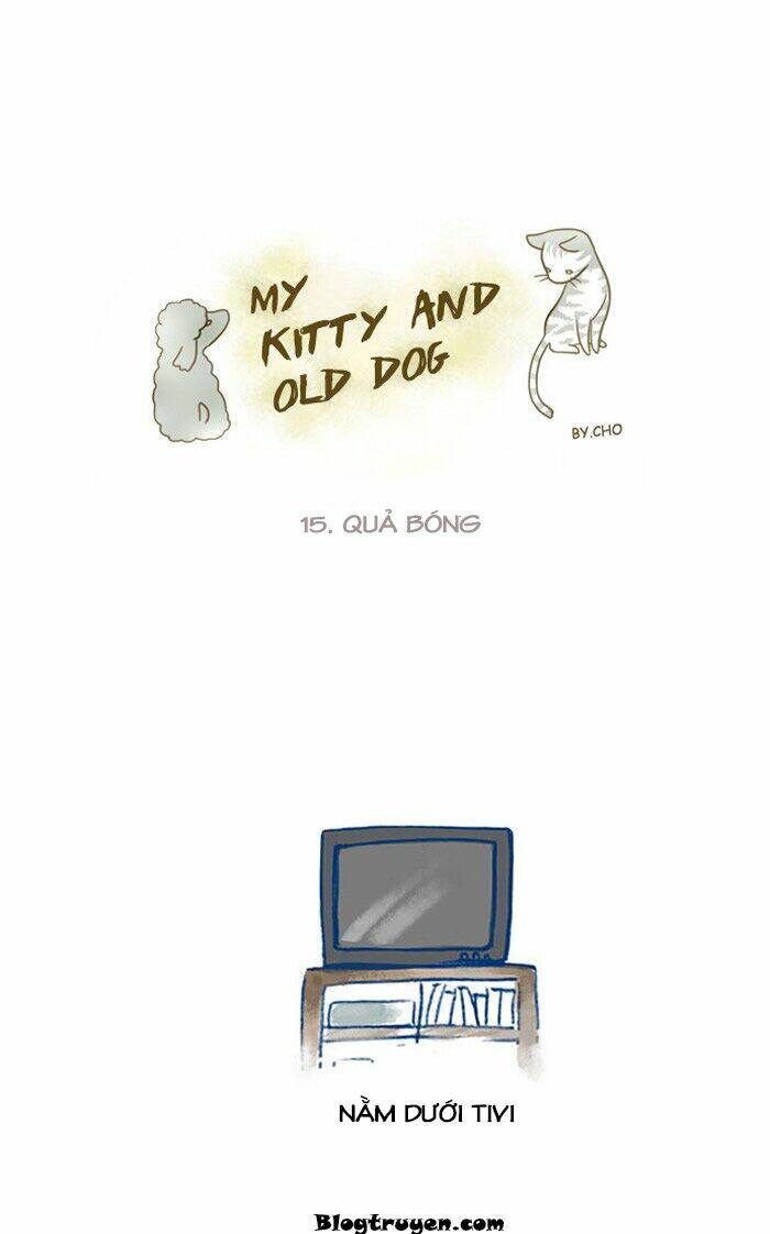 My Young Cat And My Old Dog Chương 15 Ảnh 3