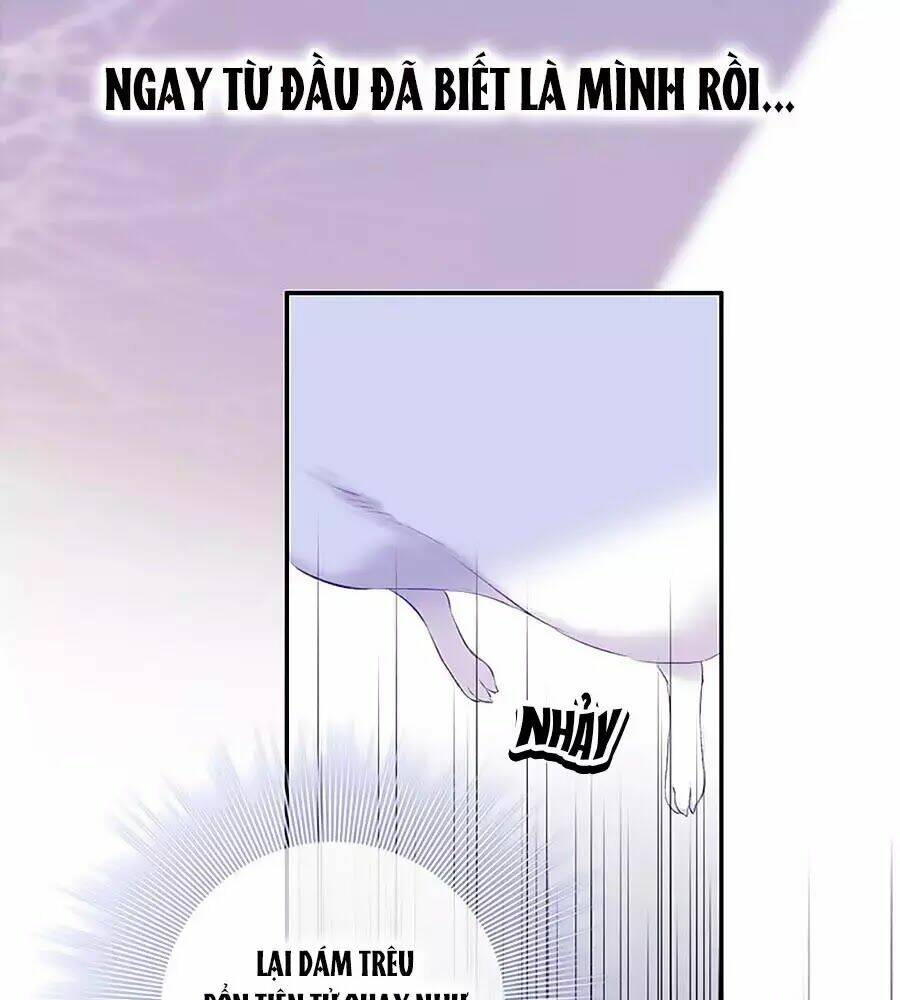 Kiều Nhi Không Nghe Lời Chương 8 Ảnh 61