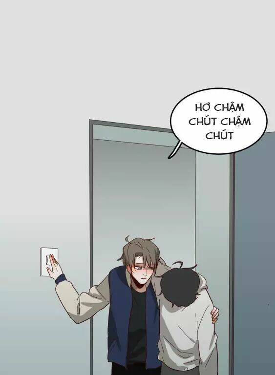Tình Yêu Dưới Mái Hiên Chương 58 Ảnh 13