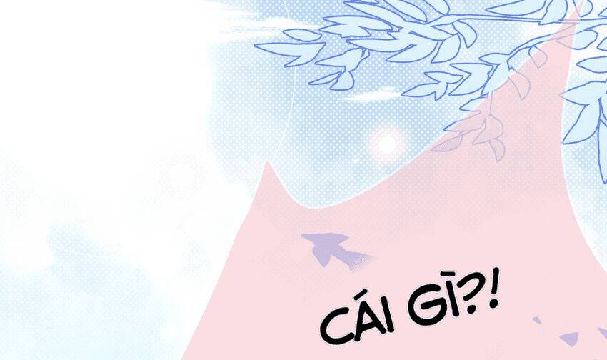 Các Cô Gái Tai Thú Đều Muốn Độc Chiếm Tôi Chương 26 Ảnh 35
