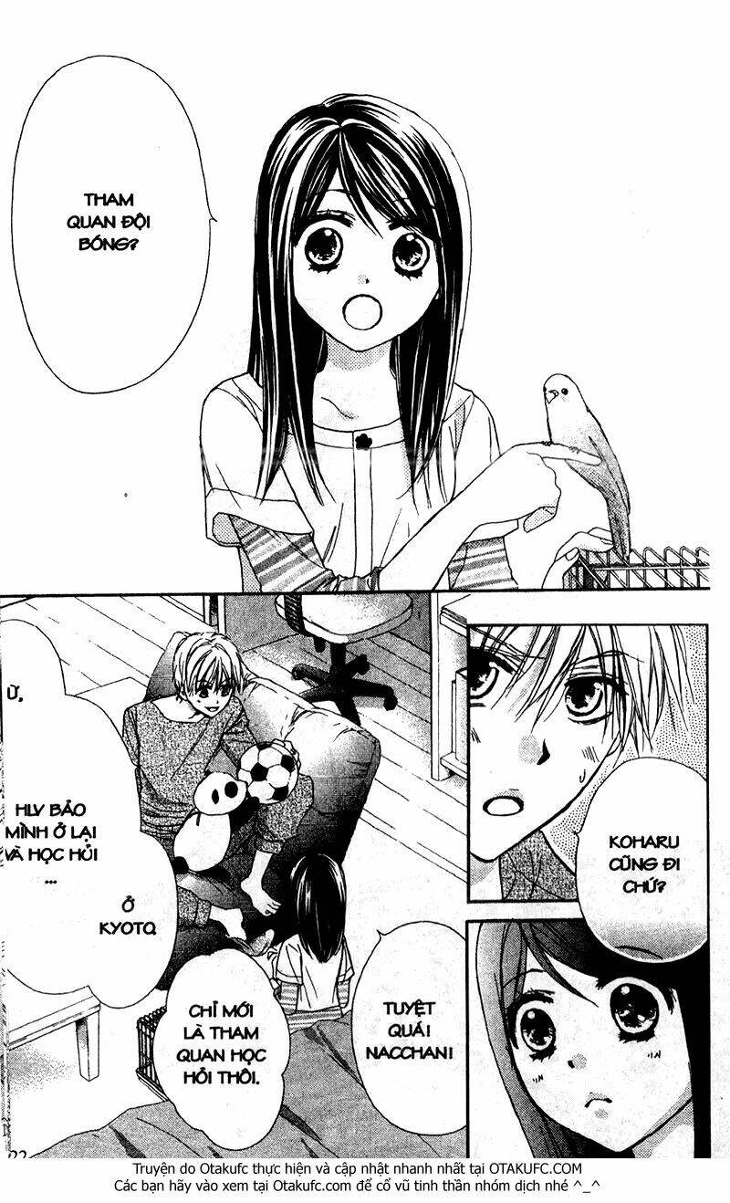 Hachimitsu Ni Hatsukoi Chương 51 Ảnh 22