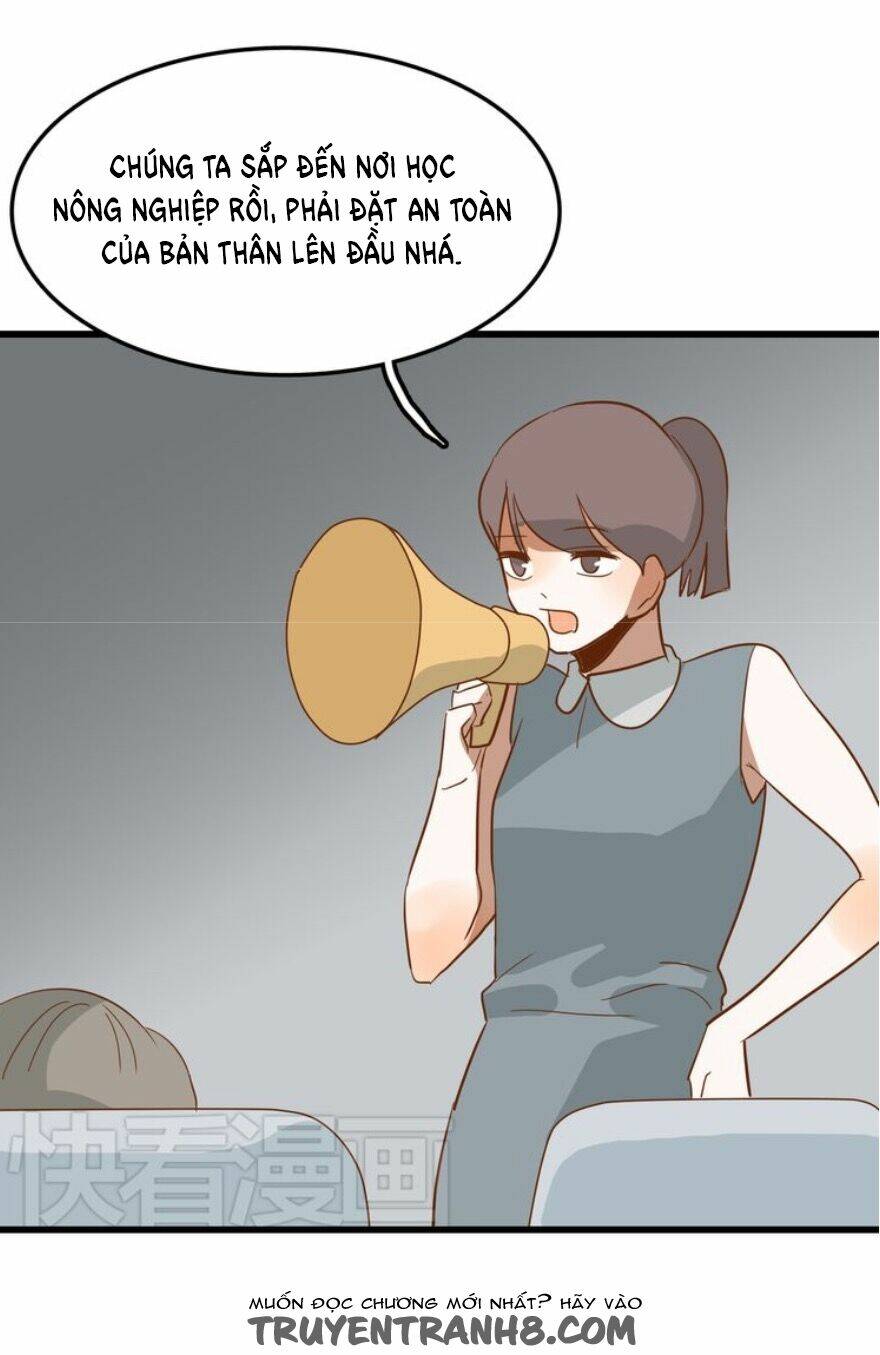 Tình Yêu Dưới Mái Hiên Chương 41 Ảnh 9