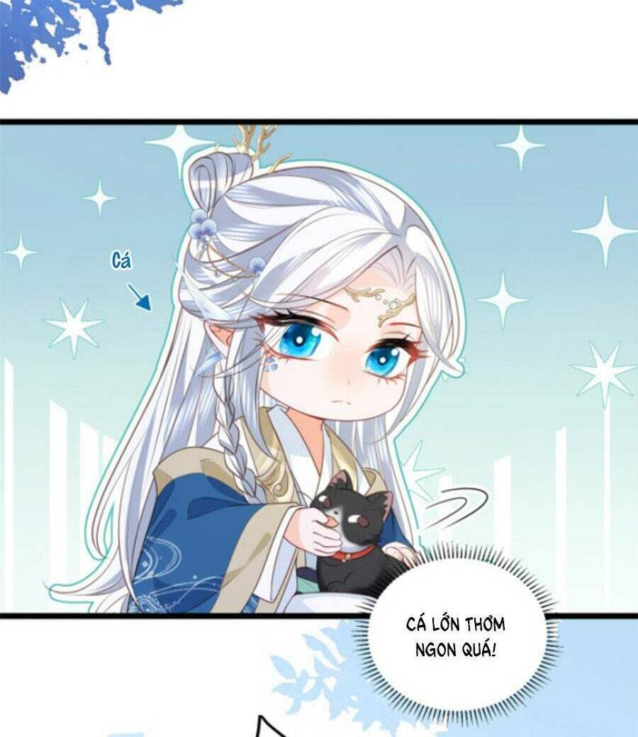 Giao Nhân Đệ Đệ Lại Cắn Ta! Chương 10 Ảnh 14