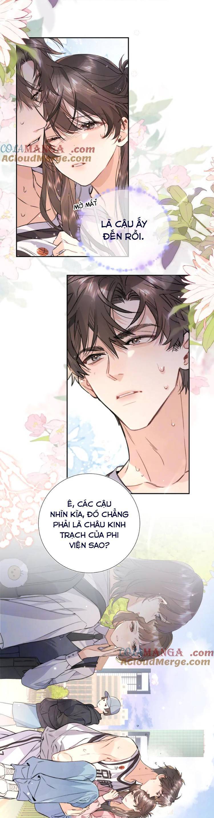 Tỏ Tình Chương 64 Ảnh 3