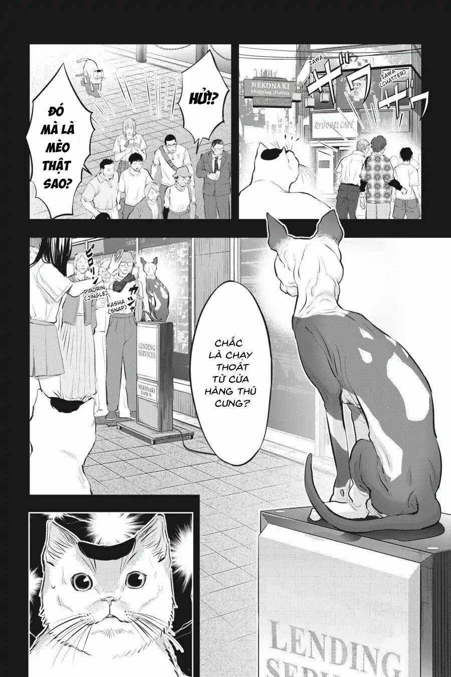 Nyankees Chương 11 Ảnh 16