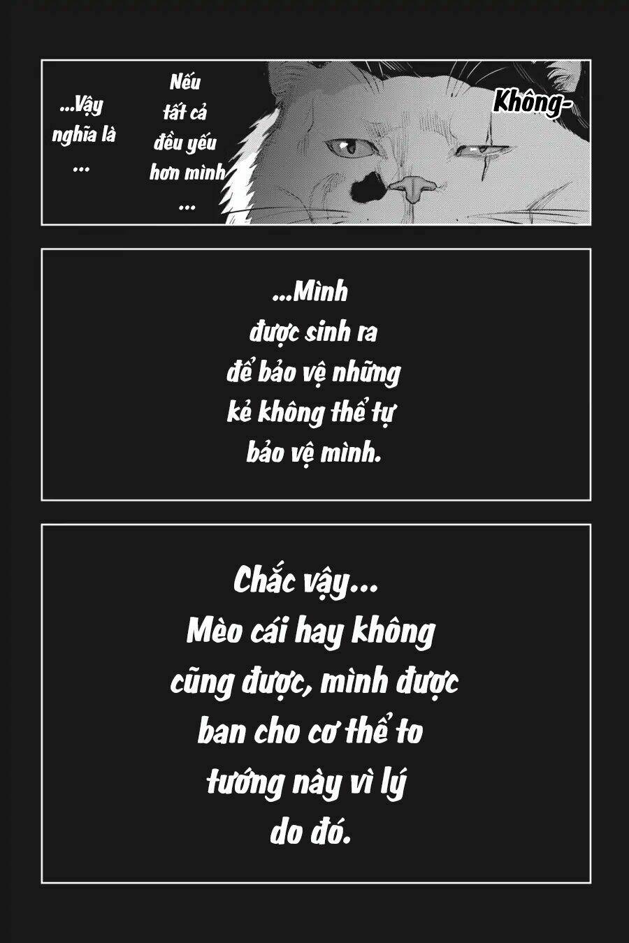 Nyankees Chương 7 Ảnh 18