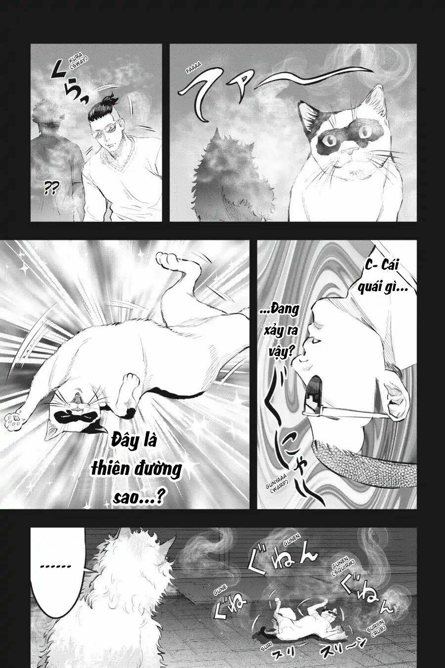 Nyankees Chương 11 Ảnh 21