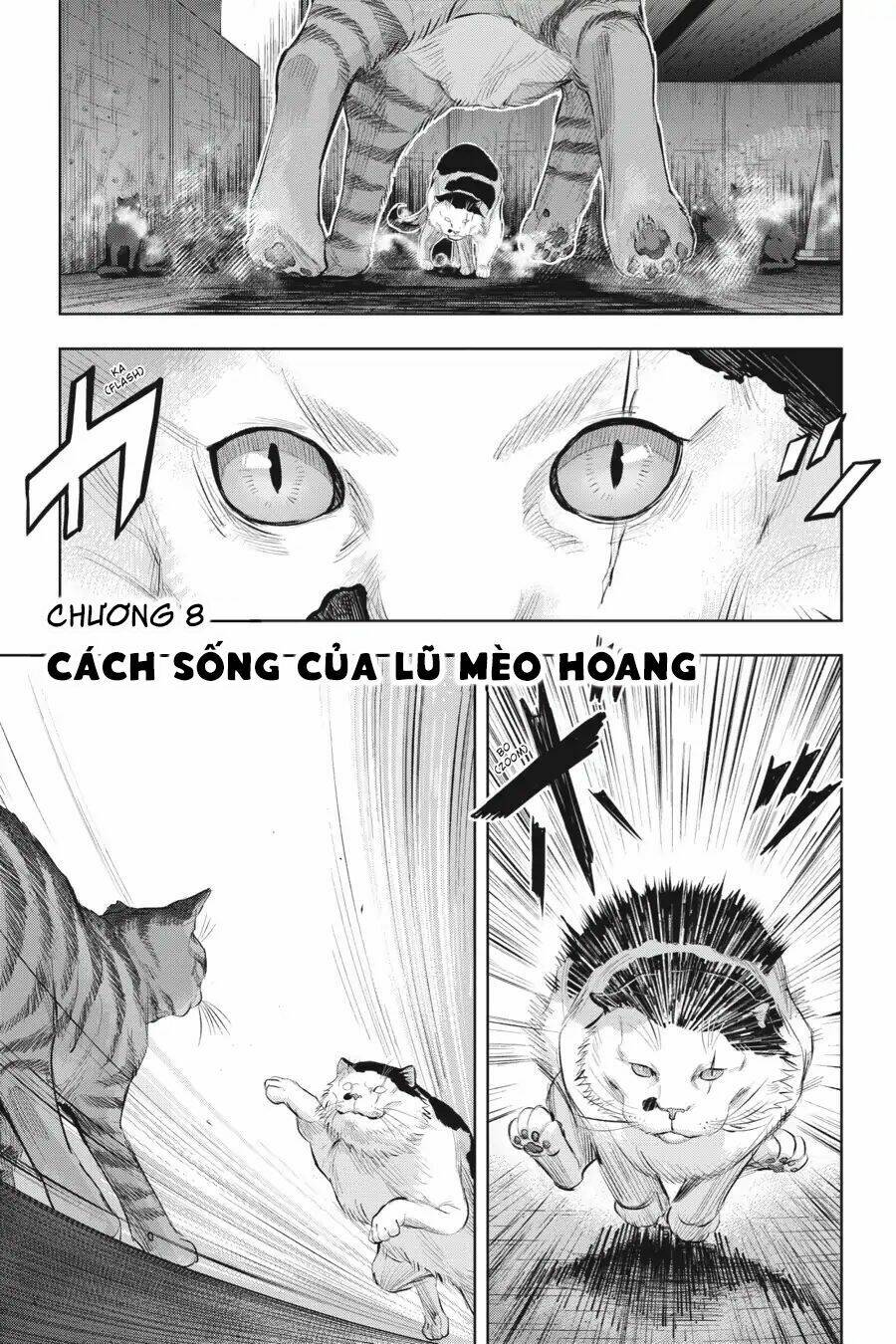 Nyankees Chương 8 Ảnh 6