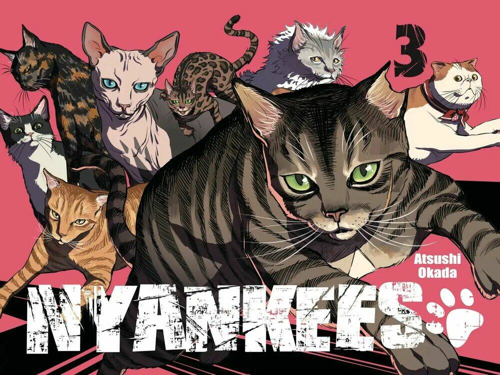 Nyankees Chương 12 Ảnh 7