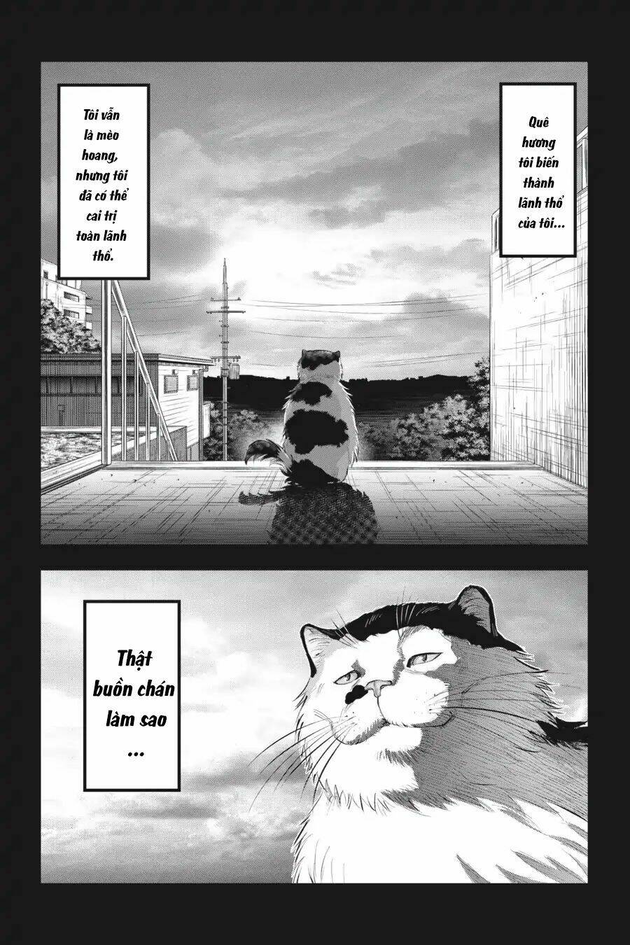 Nyankees Chương 7 Ảnh 9