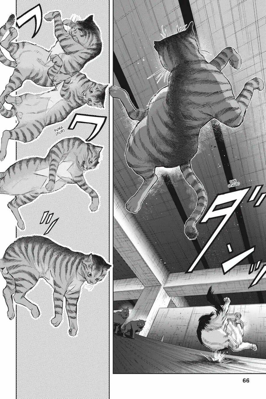 Nyankees Chương 9 Ảnh 7