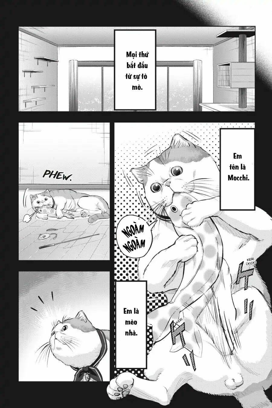 Nyankees Chương 10 Ảnh 14