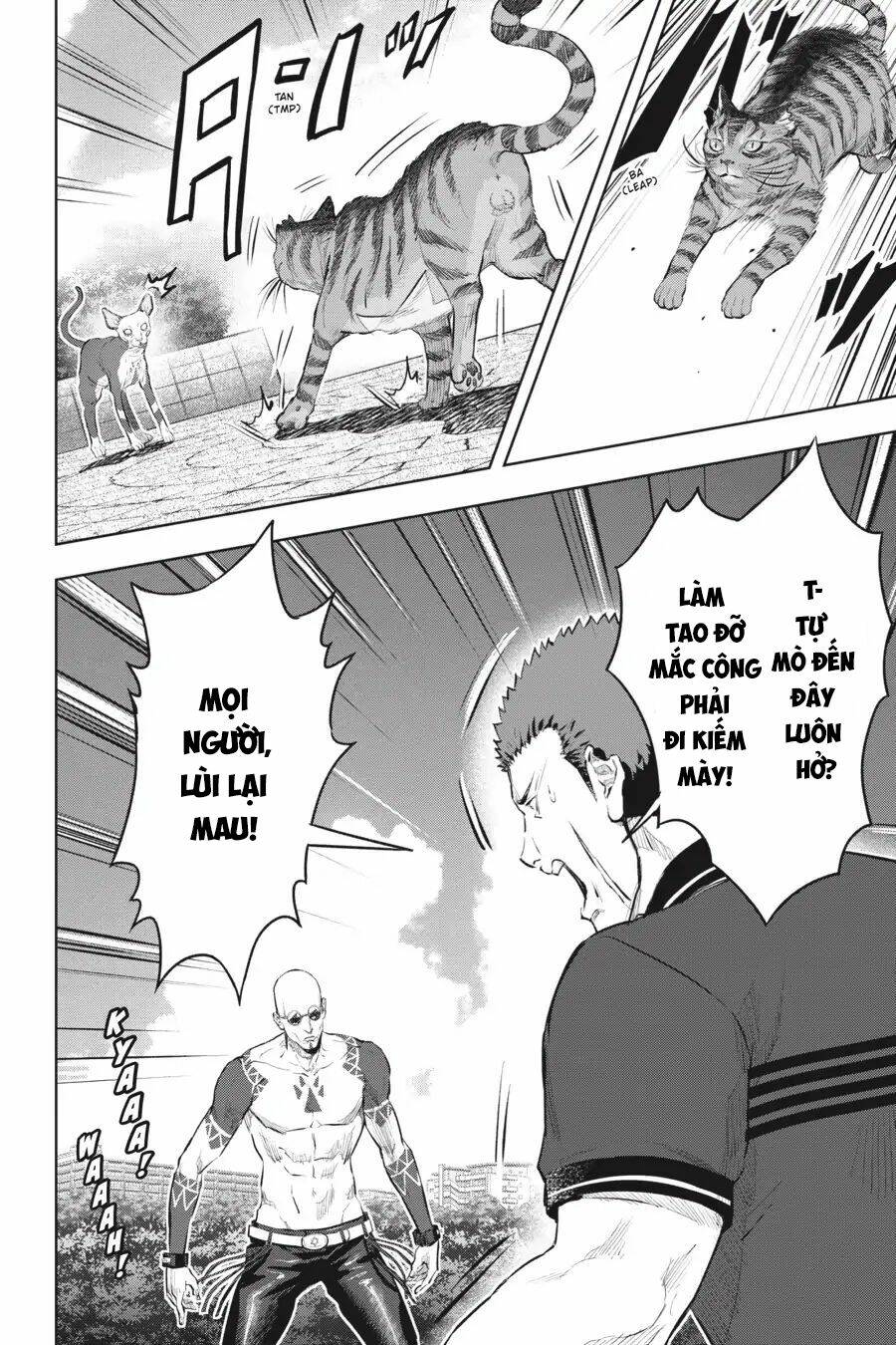 Nyankees Chương 12 Ảnh 38